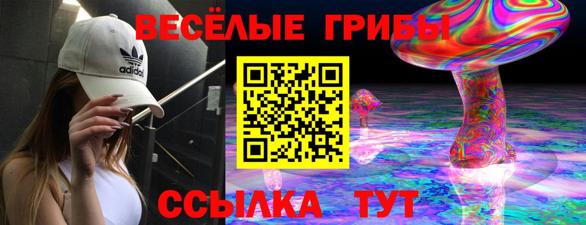 Кириши  Галлюциногенные грибы MAGIC MUSHROOMS  Вход с VPN  Псилоцибиновые грибы Psilocybe 