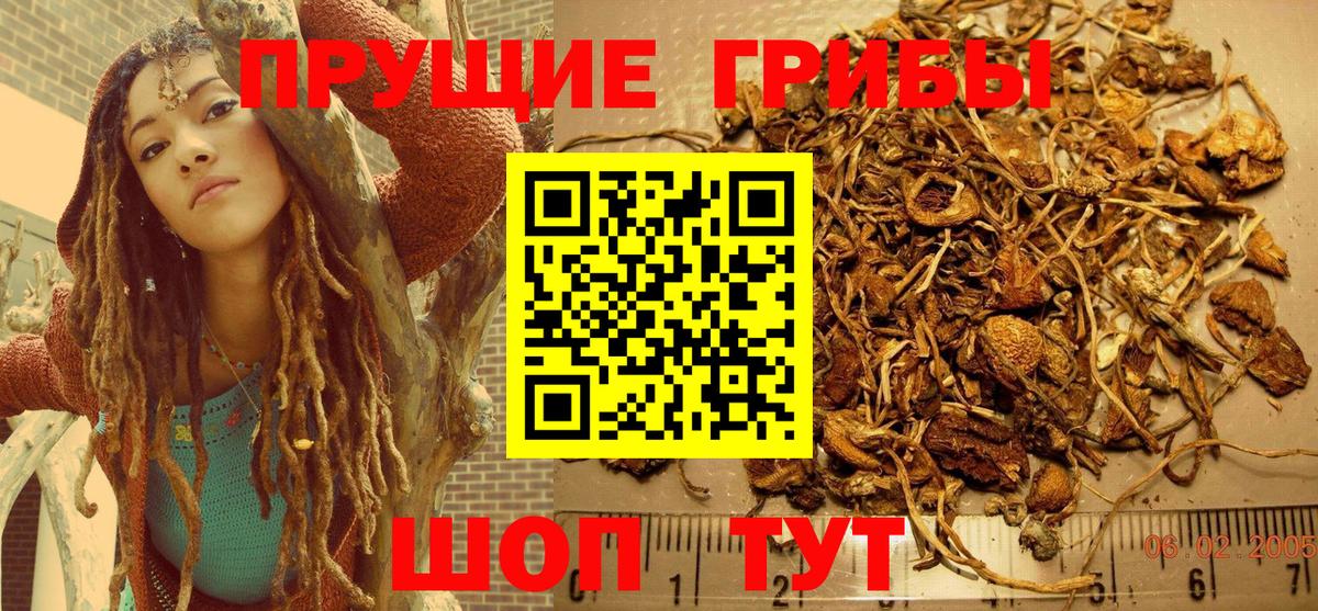 Галлюциногенные грибы прущие грибы Кириши